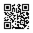 QR CODE 133
