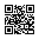 QR CODE 228