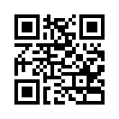 QR CODE 317