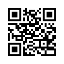 QR CODE 329