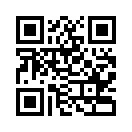 QR CODE 330