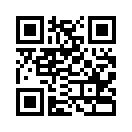 QR CODE 336