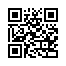 QR CODE 42