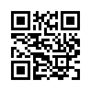 QR CODE 133
