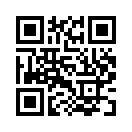 QR CODE 317