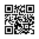 QR CODE 394