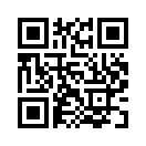 QR CODE 397