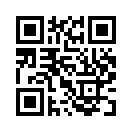 QR CODE 411