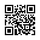 QR CODE 42