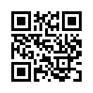 QR CODE 461