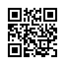 QR CODE 515