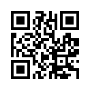 QR CODE 519