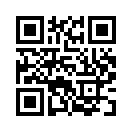 QR CODE 528