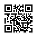 QR CODE 529