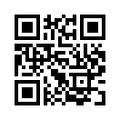 QR CODE 538