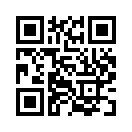 QR CODE 553