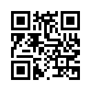 QR CODE 2389