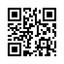 QR CODE 2461