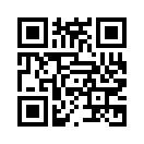 QR CODE 2838