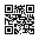 QR CODE 2910