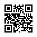 QR CODE 2920