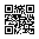 QR CODE 3010