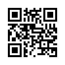 QR CODE 3060