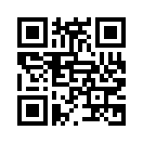 QR CODE 3133