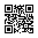 QR CODE 3155