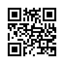 QR CODE 3172