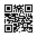 QR CODE 3174