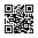 QR CODE 31