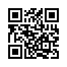 QR CODE 42