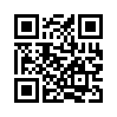 QR CODE 53