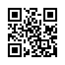 QR CODE 53