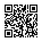 QR CODE 27