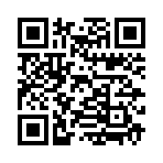 QR CODE 31