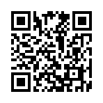 QR CODE 110
