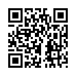 QR CODE 113