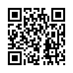 QR CODE 115