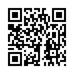 QR CODE 132
