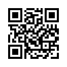 QR CODE 31