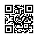 QR CODE 53