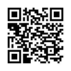 QR CODE 110