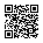 QR CODE 133