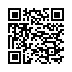 QR CODE 317