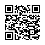 QR CODE 336