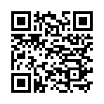 QR CODE 378