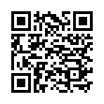 QR CODE 394