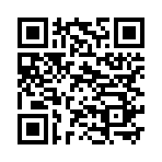 QR CODE 461